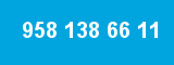 958 138 66 11